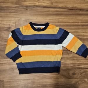 Janie and Jack Toddler boys fall sweater